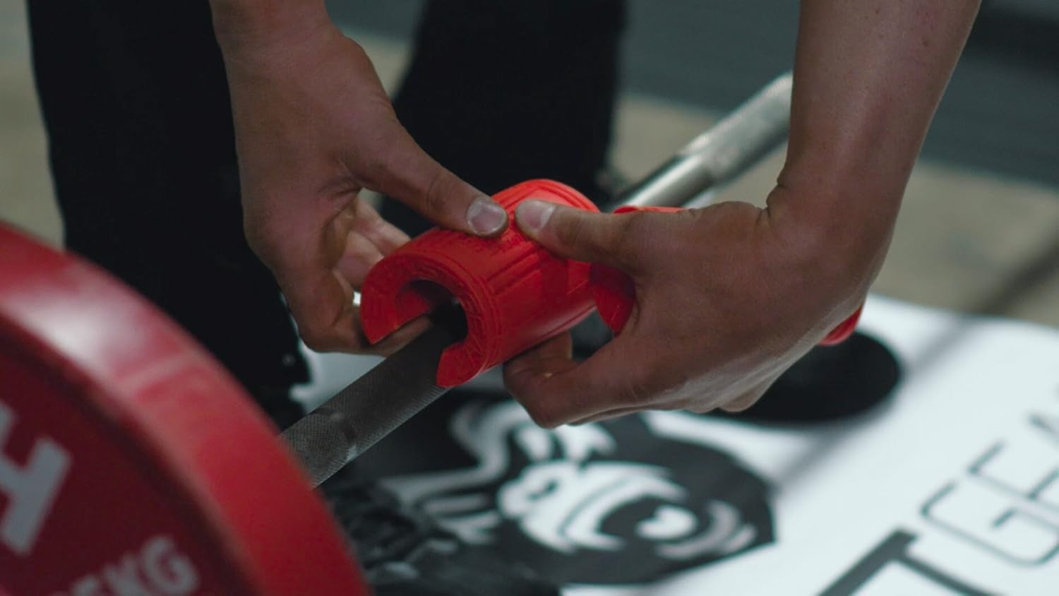 image:imageBeast Gear Strength Equipment